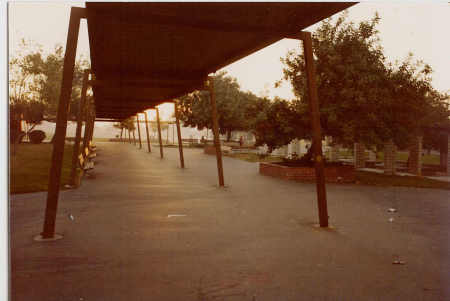 Fohi in the morning June 1979