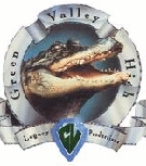 Green Valley High School Logo Photo Album