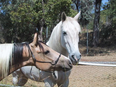 Summer and Smokey