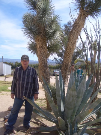 Terry in the desert
