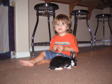 Nicholas & His Bunny