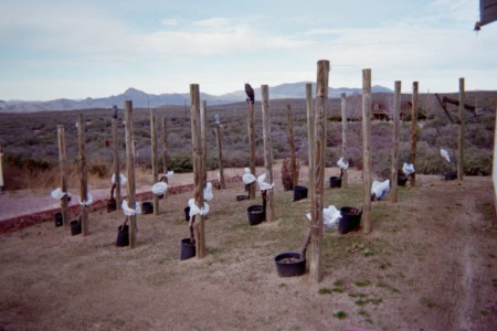 ARIZONA GRAPE VINEYARD