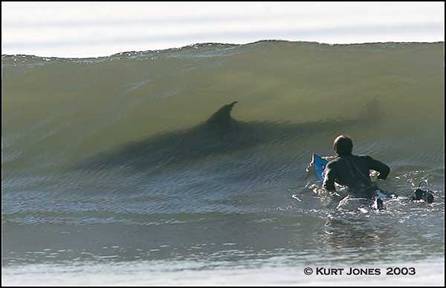 surfing