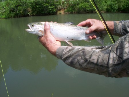 Don's nice catch!