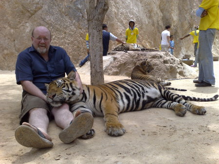 Thai version of a kids petting zoo