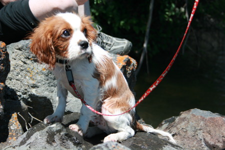 No, swimming in the river wasn't fun!