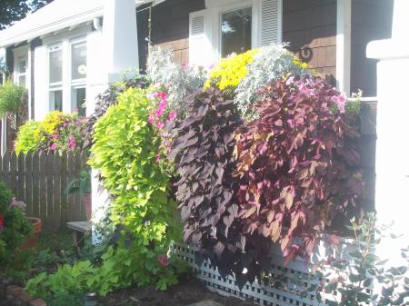 Flower boxes