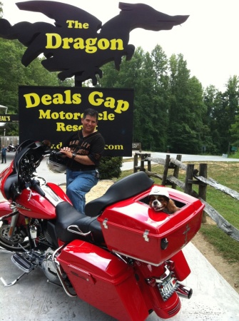 Our dog Ruby riding my Street Glide