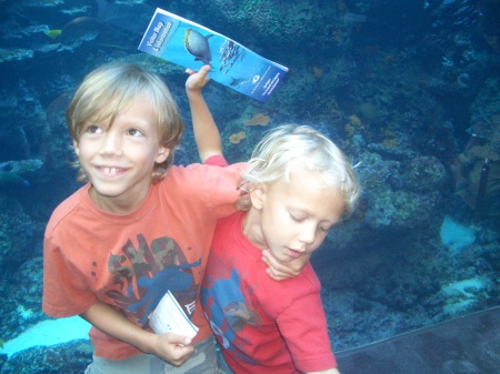 Liam and Luke at the Aquarium