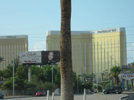 The Mandalay Bay hotel in Vegas