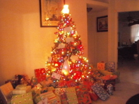 Christmas in FL 2010