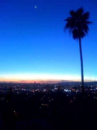 The view from my house in Los Angeles