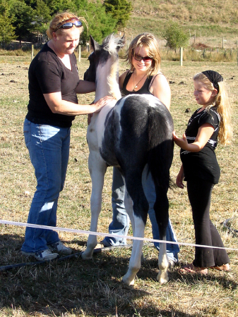 Maryanne, Liz, Gemma with foal