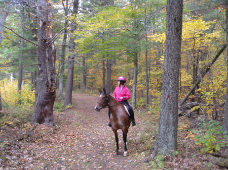 Verona Beach State Park