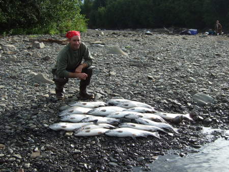 Alaska silver salmon fishing...