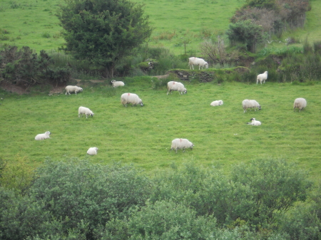 Lisa Morley's album, Ireland 2011