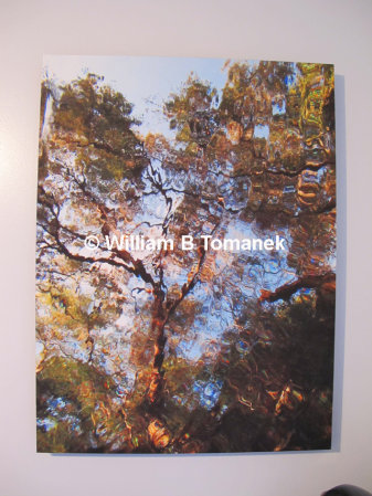 Will Tomanek's album, Looking Up