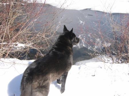 Hiking Buddy