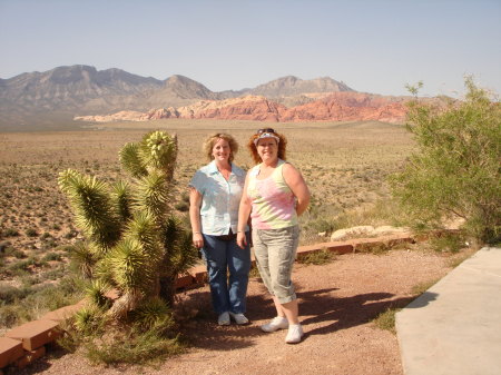 Red Rock Canyon, NV  May 08