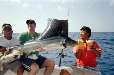 pete sail fish in mexico