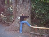 Yep, I'm a tree hugger!