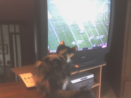 Callie watching M football