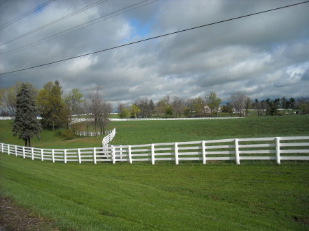 Marie Holmes' album, Kentucky