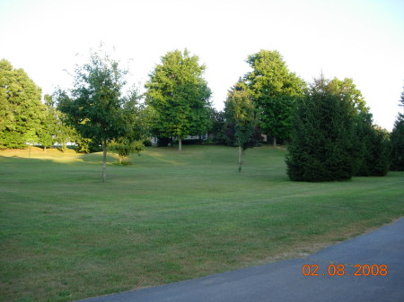 back yard of home farm - lot's of mowing to do