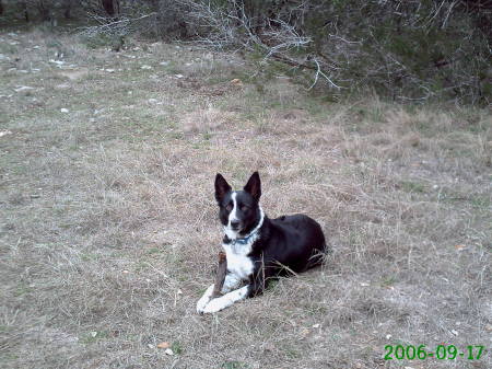 Cleo, Pedernales Falls State Park, Texas