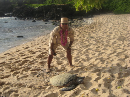 ON THE BEACH IN MAUI