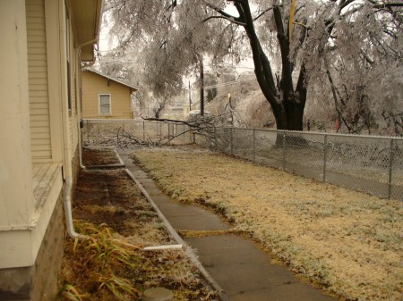 Ice storm Dec 2007