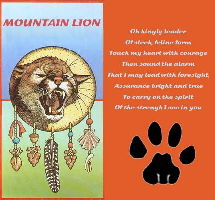 Mountain Lion... Cougar