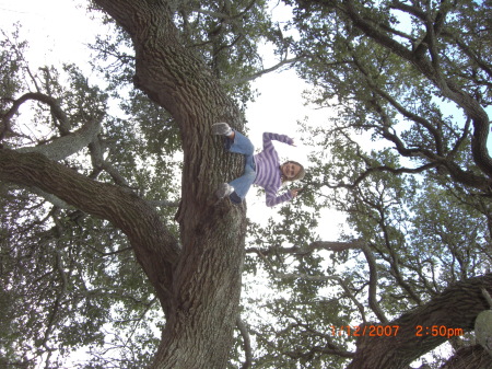 Skylar and the oak tree