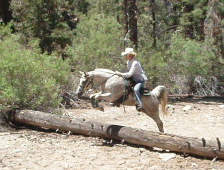 horse camping 2008