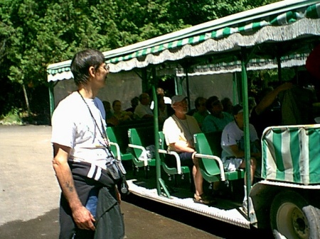 mac island tour in july 2008 horse transport