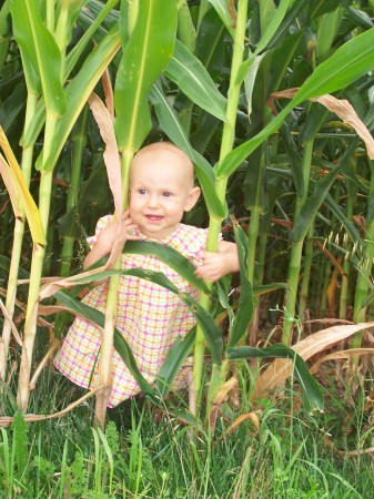 Lilly in the corn