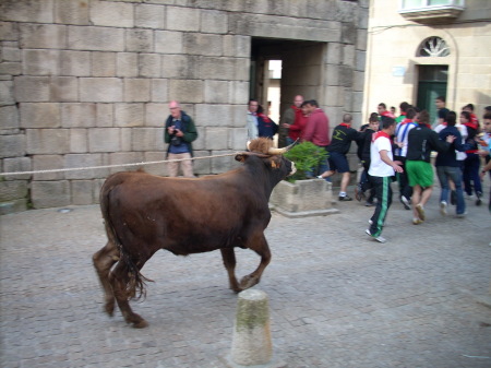 Running From The Bull in Allariz