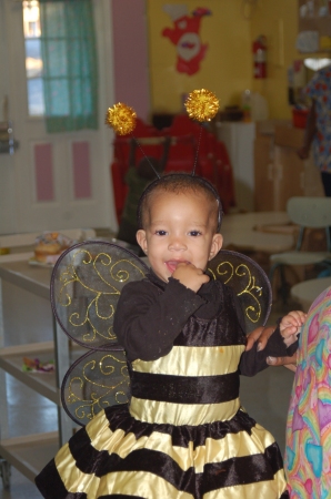 A Beautiful Bumble Bee at Halloween