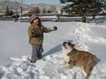 Joey & Gunny playing in the snow