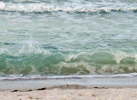 Sarasota Green Wave
