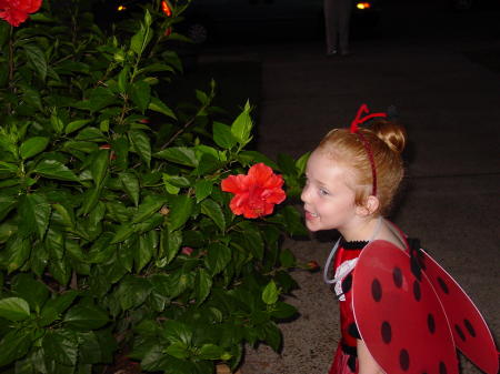 lady bug smells a flower