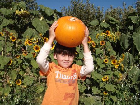 seamus 5 kindergarten field trip