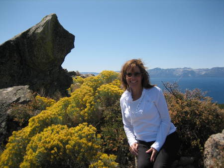 Overlooking Lake Tahoe, Pomon's Rock, 7500 ft.