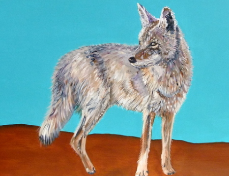 Turquois Coyote - 1