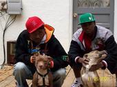 jay & johnathan with the dogs