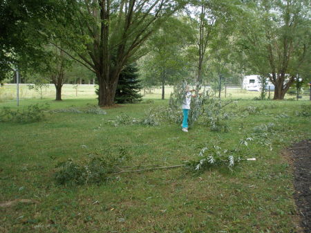 Cleaning up after the wind storms