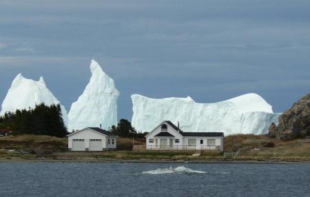 Newfoundland Icebergs