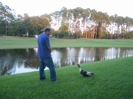 Arguing with ducks in backyard