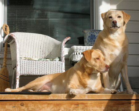 Franny and Zoe on the front porch