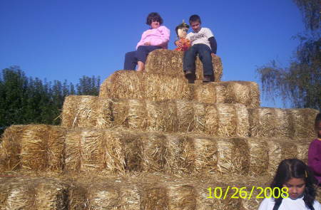 Pumpkin Patch